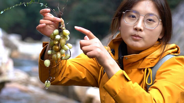 Pernah makan rumput yang bisa bertelur?