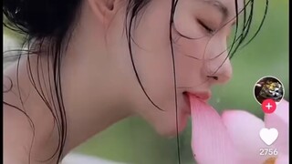 省流，尖叫变猪叫