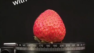 What strawberries, matches, hair, banknotes, and masks look like when infinitely magnified...