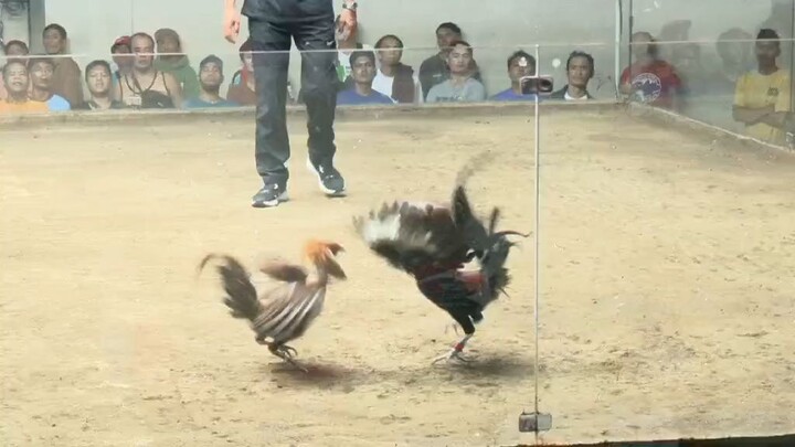 Hinabol ni kamatayan haha