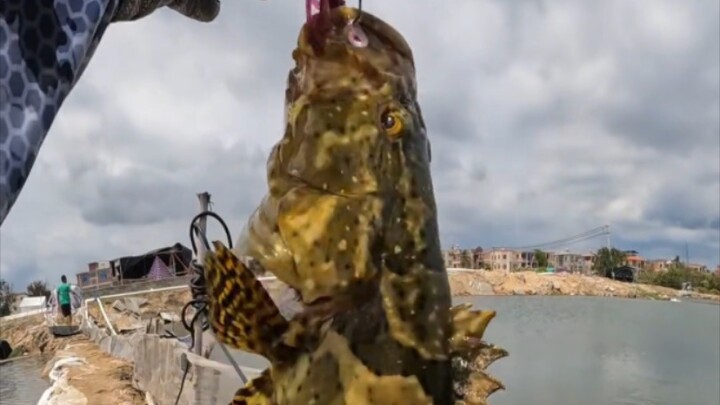 แค่เหวี่ยงเบ็ดออกไป ก็ไม่มีวันกลับมามือเปล่าแน่นอน