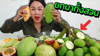 มะม่วงเปรี้ยวๆ ยกมาทั้งสวนจร้า ลุย l แม่มุ้ยกินแซ่บ
