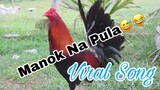 Manok Na Pula (Viral Song)