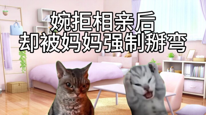 [Cat Meme] After politely declining a blind date, mom forcibly tries to “turn” them gay