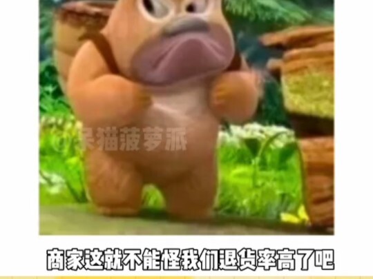 商家这就不能怪我们退货率高了吧