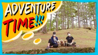 Traveling with Toy Poodles | Day 3 -Trekking and Hiking with Dogs| The Poodle Mom