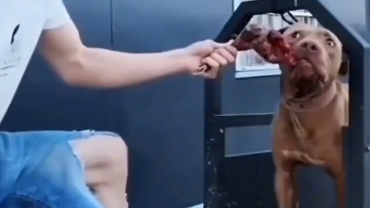 How should I put it?