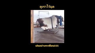 เล่นอย่างกะเซียน555