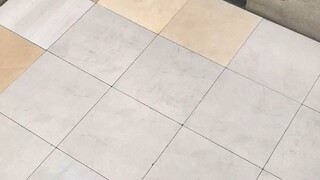 One skill, one assessment—learn technology with ease