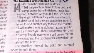 Daily Verse                   Exodus 14:5-9