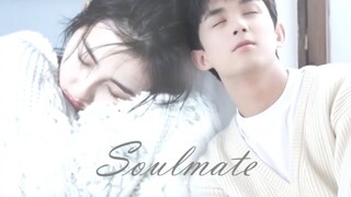 吴磊x张子枫  |  磊枫   Soulmate  （分屏微电影）