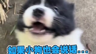 Không! ! 😭
