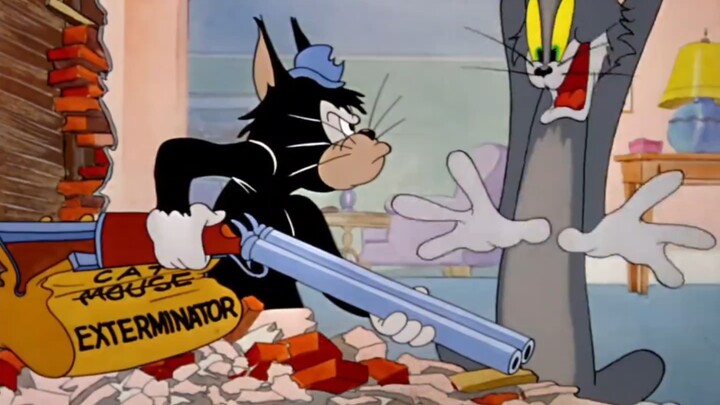 บริษัทกำจัดหนูเปลี่ยนเป็นบริษัทกำจัดแมวแล้ววันนี้