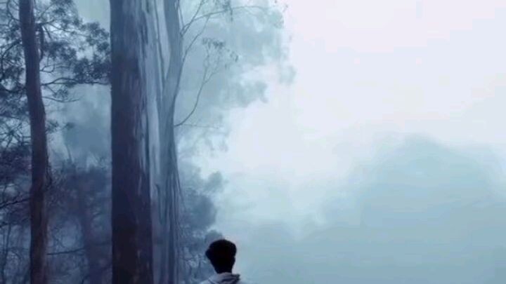 Silencio