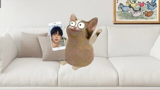 Hari seorang gadis adalah untuk dikirimkan kepada sahabatnya
