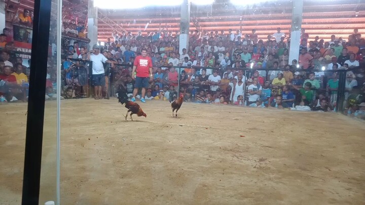 NABALI NA ANG PAA SA TARIAN, PUMAPALO PARIN