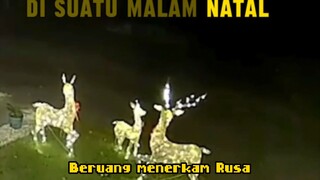 Beruang menerkam Rusa