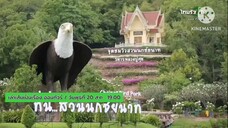 เล่าเส้นเป็นเรื่อง ออนทัวร์ ตะลุยเส้นระดับตำนาน ที่ จ.ชัยนาท วันพุธที่ 20 ส.ค. เวลา 19.00 น.