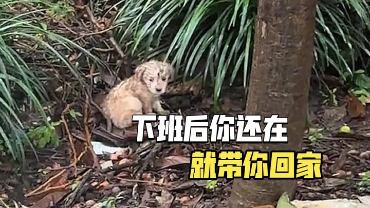 Kalau saat aku pulang kerja kamu masih di sini, aku akan mengantarmu pulang.