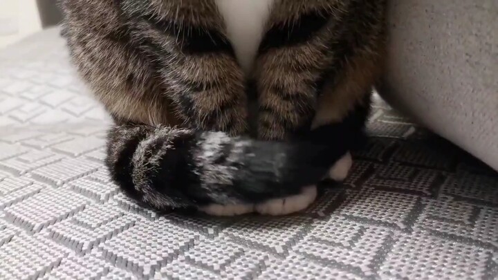 Này, cô em gái khá kín đáo