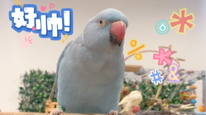 【ความชัดสูง เสียงเต็มอรรถรส】ฟังเสียงของจันทร์ล้อเล็กน้ำเงินครั้งเดียวให้จุใจ!