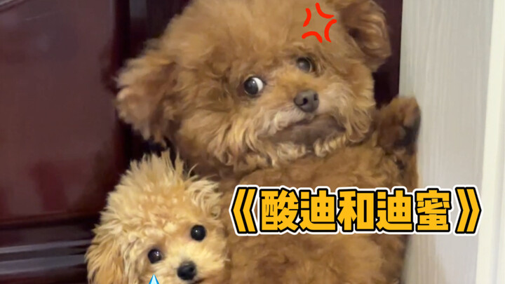 Not a single one is worry-free!