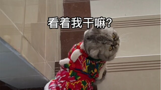 妈耶怎么可能听懂我说话呢