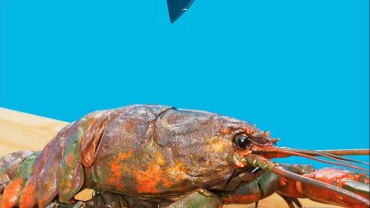 Bạn đã học được cách ăn tôm hùm đúng chuẩn chưa?