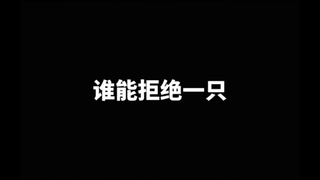 谁能拒绝一只只会道歉的北极熊呢。。