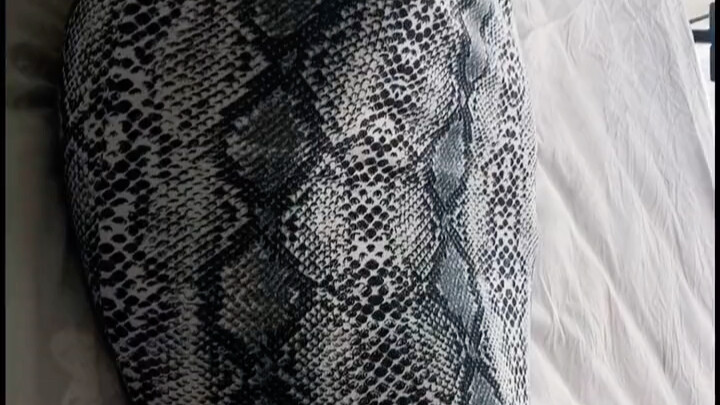 Do you guys like this python?