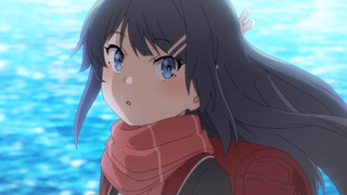 【12月/剧场版/CloverWorks】青春猪头少年不会梦到红书包女孩 特报PV【MCE汉化组】