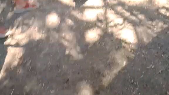 pumpkin sweater two times winner