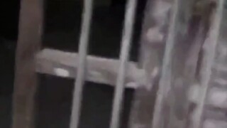 至少他胆子真的很大