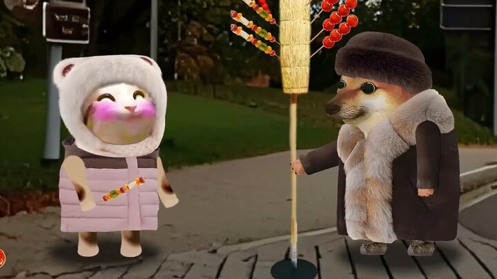 When a Sichuan guy meets a southern sweet girl