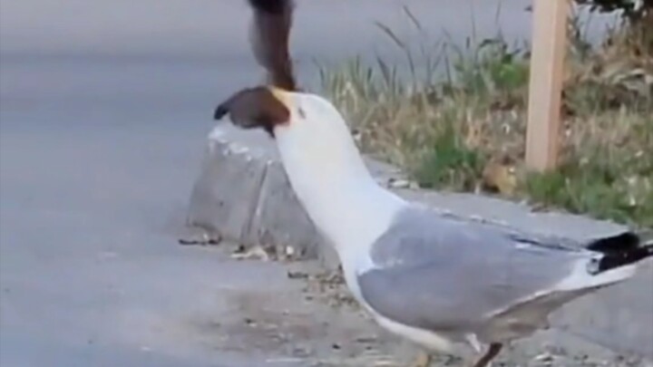 حقاً أريد أن أعطيه كوباً من الماء، مجرد النظر إليه يجعلني أشعر بالاختناق.