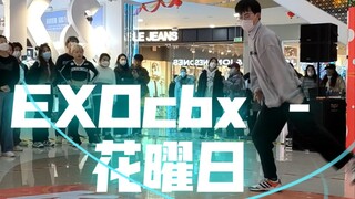 Blooming Day (Flower Day) – EXO-cbx / Full Song Cover Dance / Recording