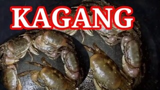 #Kagang #kamoimoi #Kamoymoy