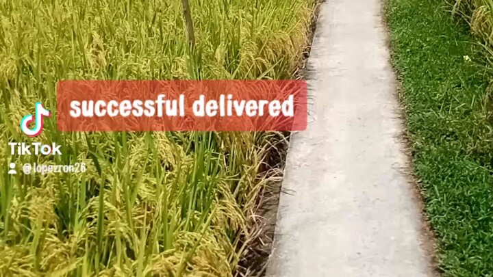 hanap hanap ka BY:GIMP633 EMPANADA