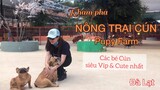 Tất tần tật các loại Cún siêu VIP & Cute tại Đà Lạt|Du lịch Đà Lạt.