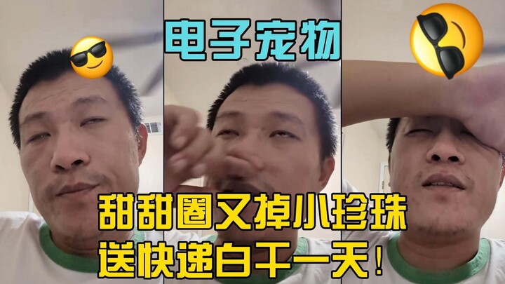 电子宠物甜甜圈王伟恒（二十二）：送快递白干一天甜甜圈又又又开始掉小珍珠了！