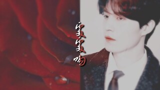 【李栋旭】吻戏混剪丨处处吻