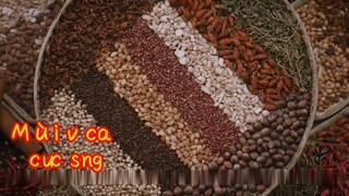 Mùi vị của cuộc sống