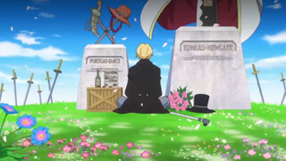 [Air mata menyentak/bergerak] Kamu dan Luffy sama-sama sangat marah, maaf karena tidak bisa menyelam