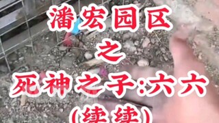 Pan Hong Park Area's "BLEACH" Offspring: Liu Liu (Continued Continued)