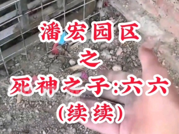 สวนอุตสาหกรรมพานหง บลีช เทพมรณะ ตอน: ลิ่วลิ่ว (ต่อเนื่อง)