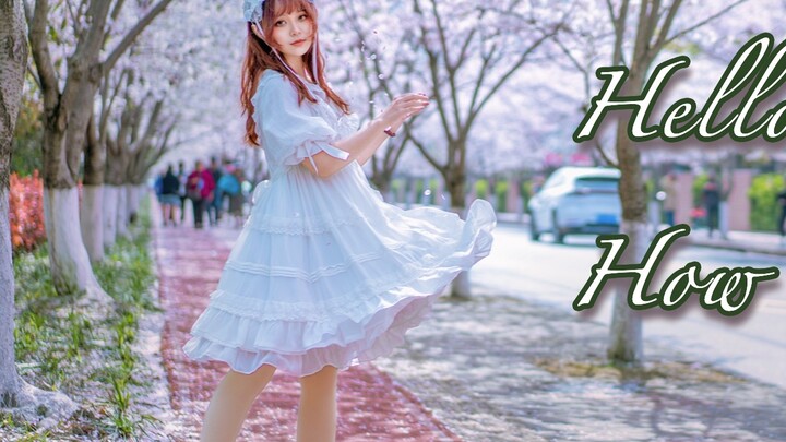 【Sakiya】Dancing on the Sakura Avenue, an enthusiastic uncle sprinkled flowers for me! ❀ Hello/How ar