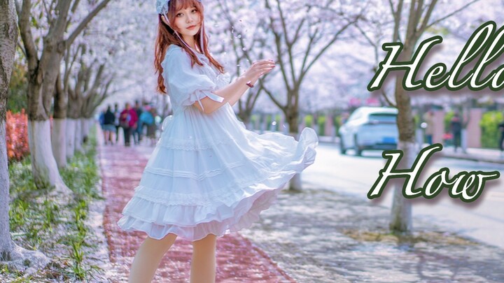 【Sakiya】Menari di Sakura Avenue, seorang paman yang antusias menaburkan bunga untukku! ❀ Halo/Apa ka