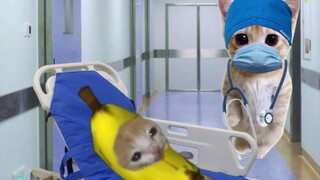 Banana Cat goes to the hospital for surgery, only to find that the doll is performing the operation