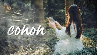 [ดนตรี][สร้างใหม่]เล่น <Canon> ด้วยคาลิมบา