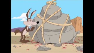 Die, Road Runner, Die (Starring Wile E Coyote)
